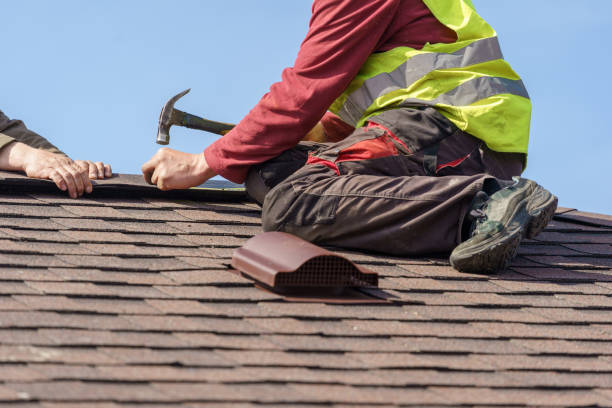 Best Roof Maintenance Services  in Choccolocco, AL