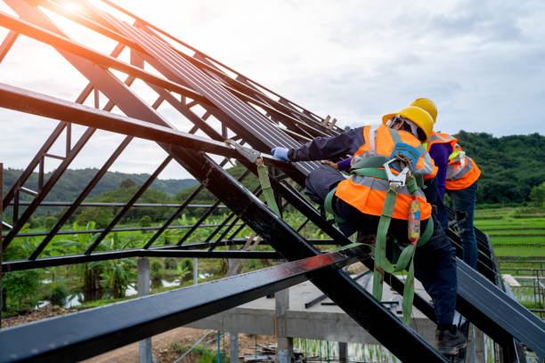 Best Residential Roof Replacement  in Choccolocco, AL
