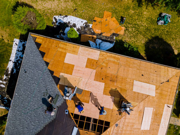 Best Storm Damage Roof Repair  in Choccolocco, AL
