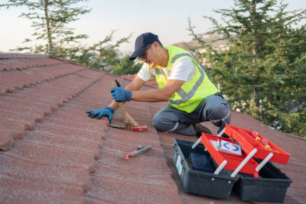 Best Best Roofing Contractors  in Choccolocco, AL
